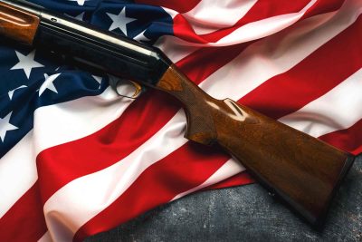 Firearms Industry Firearms Industry