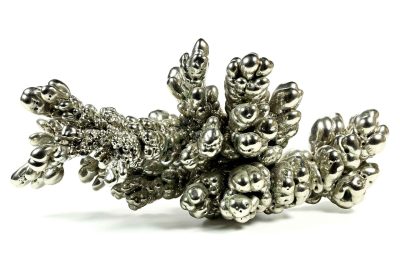 Nickel,Isolated,On,White,Background